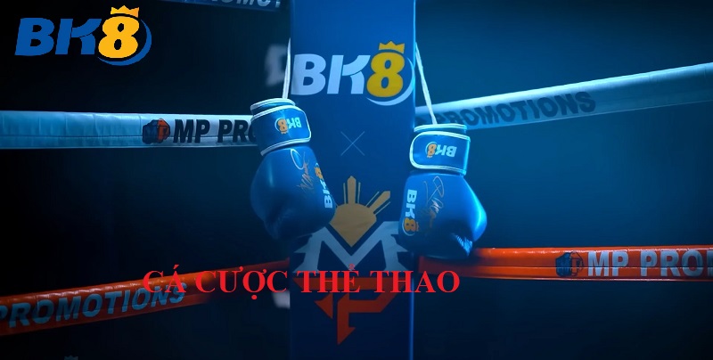 Cá Cược Các Môn Thể Thao Khác