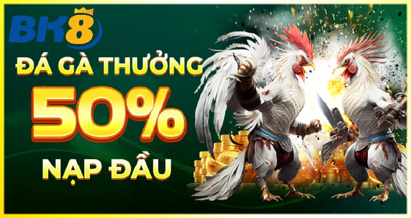 chinh sach khuyen mai danh rieng cho da ga Chính Sách Khuyến Mãi Dành Riêng Cho Người Chơi Đá Gà
